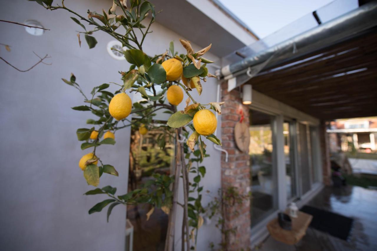 Sinanis Garden House Διαμέρισμα Βόλος Εξωτερικό φωτογραφία